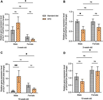 Expression of glucagon-like peptide-1 and glucose-dependent insulinotropic polypeptide in the rat submandibular gland is influenced by pre- and post-natal high-fat diet exposure
